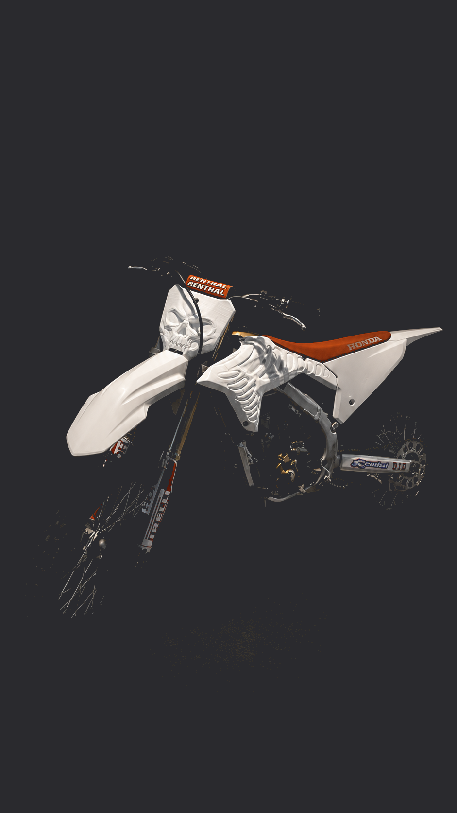 CRF Skeleton — skull and ribs detail