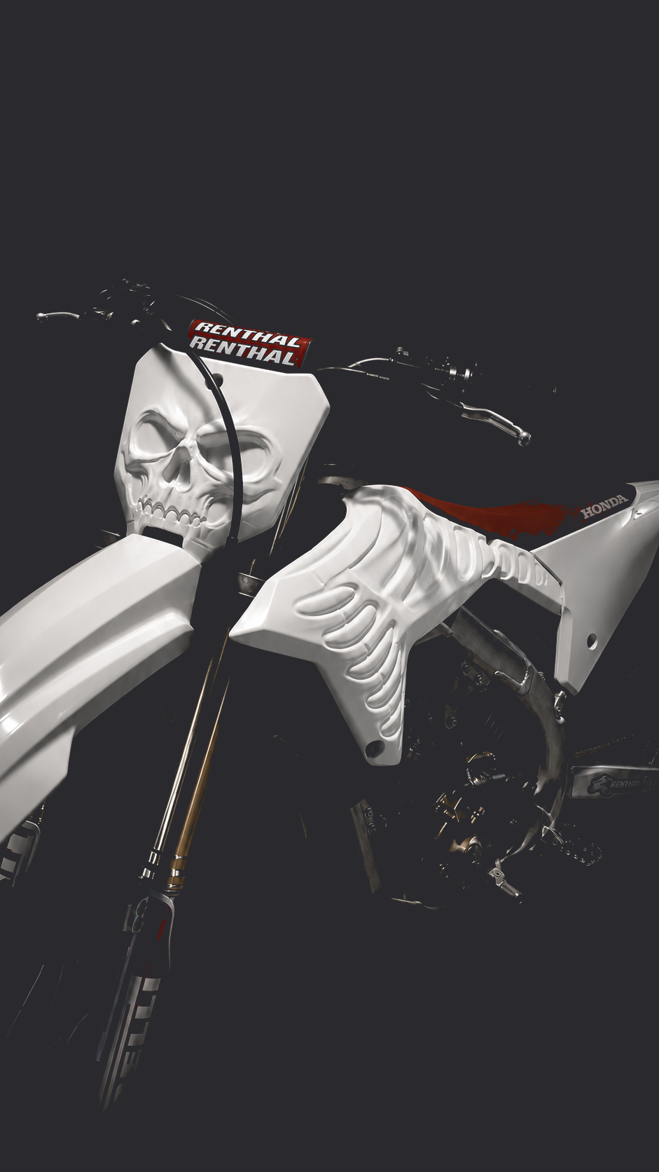CRF Skeleton — front view