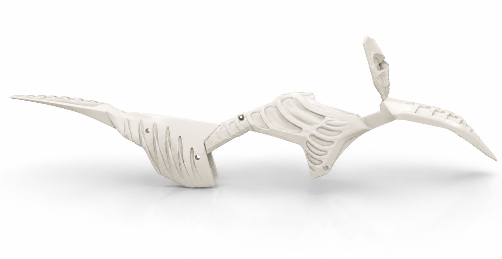 3D model — Skeleton tail